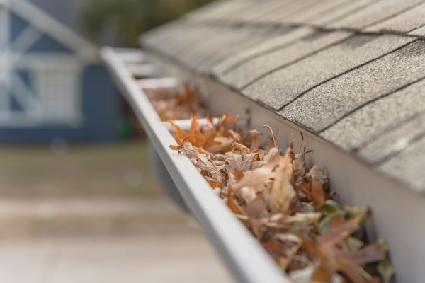 Leaf Barrier Installation in Denver